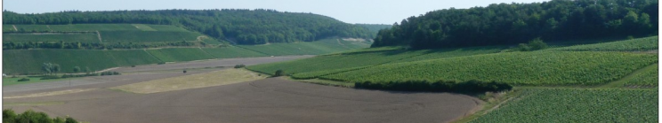 Illustration de l'enquête Avant-Projet AFAFE de la commune de COUVIGNON