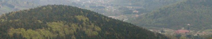 Photo d'illustration