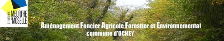 Illustration de l'enquête ENQUETE PUBLIQUE SUR LE PROJET DE REPARTITION PARCELLAIRE ET LE PROGRAMME DES TRAVAUX CONNEXES D'AMELIORATION DE LA COMMUNE D'OCHEY AVEC EXTENSION SUR BICQUELEY ET THUILLEY-AUX-GROSEILLES